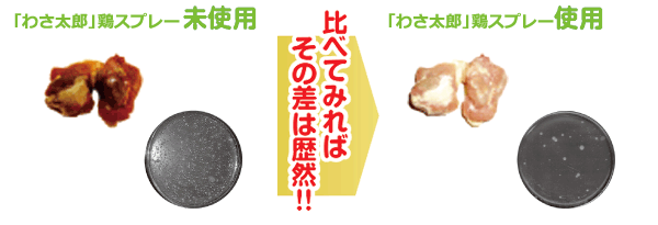 わさ太郎鶏スプレー使用例